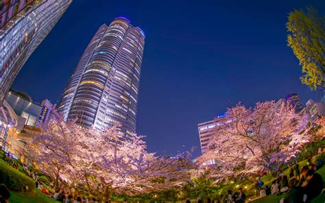 Roppongi | Tokyo Trip Guide