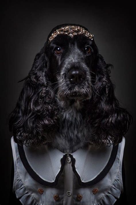 14 Photos Of Dogs Dressed In Human Clothing Based On Their ...