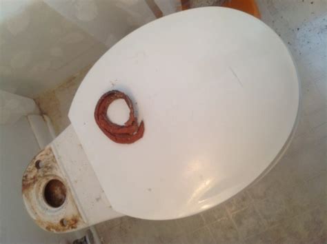 Toilet Still Leaking After Replacing Gasket, Bolts, Fill Valve, Flush ...