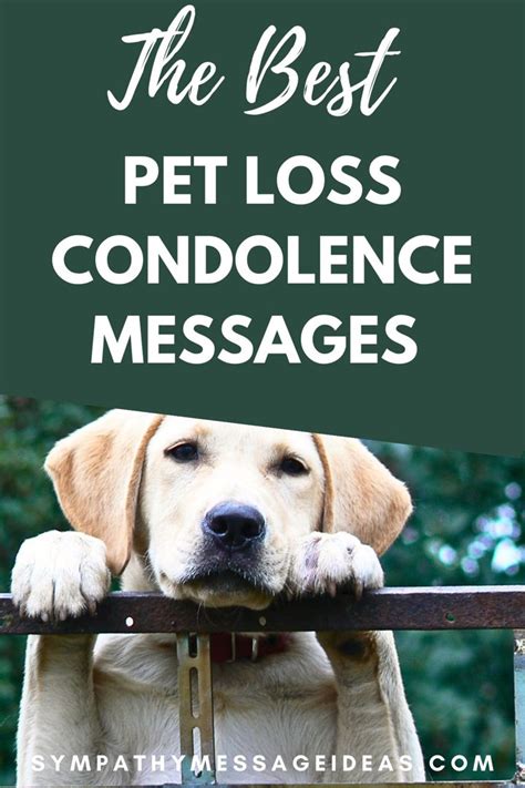 Pin on Pet Condolence Messages