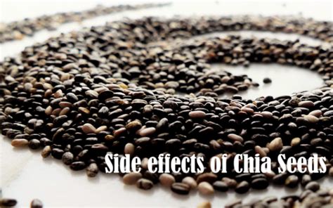 Chia Seeds Side Effects (Side Effects of Chia Seeds)