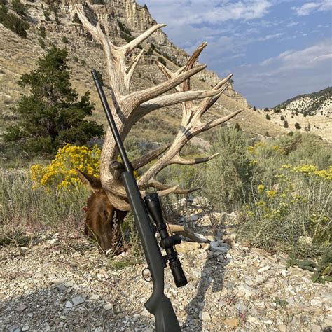 Elk Hunting in Utah: Gage Outdoor Expeditions