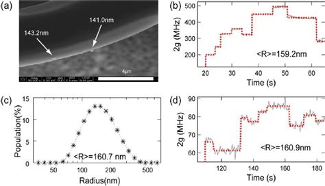 Detection and measurement of hemozoin crystals. (a) SEM image of ...