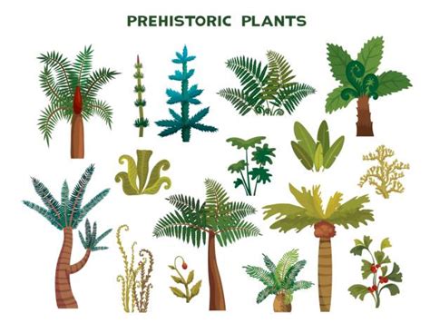 Jurassic Plants Illustrations, Royalty-Free Vector Graphics & Clip Art ...