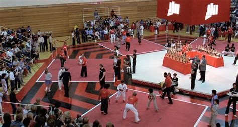 The Karate Kid Blog: The All Valley Tournament