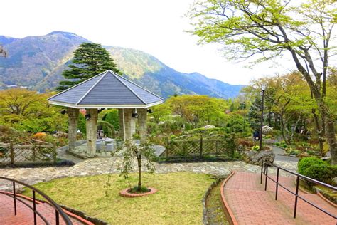 Hakone Gora Onsen - Tea Ceremony Japan Experiences MAIKOYA