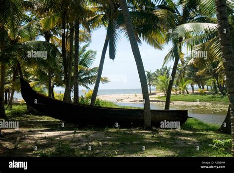 Marari Beach, Kerala, India Stock Photo - Alamy