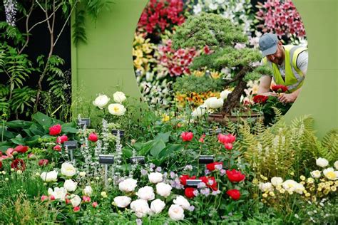 Chelsea Flower Show highlights 2019 | Tatler