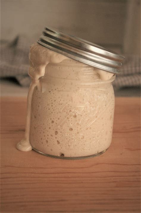 Make Your Own Sourdough Starter from Scratch - Better Baker Club