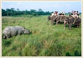 Nepal Wildlife - Nepal Wildlife Sanctuaries - Nepal National Parks ...