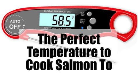 The perfect temperature to cook salmon to and how to get it right