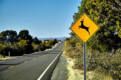 Deer Crossing Sign Stock Photos, Pictures & Royalty-Free Images - iStock