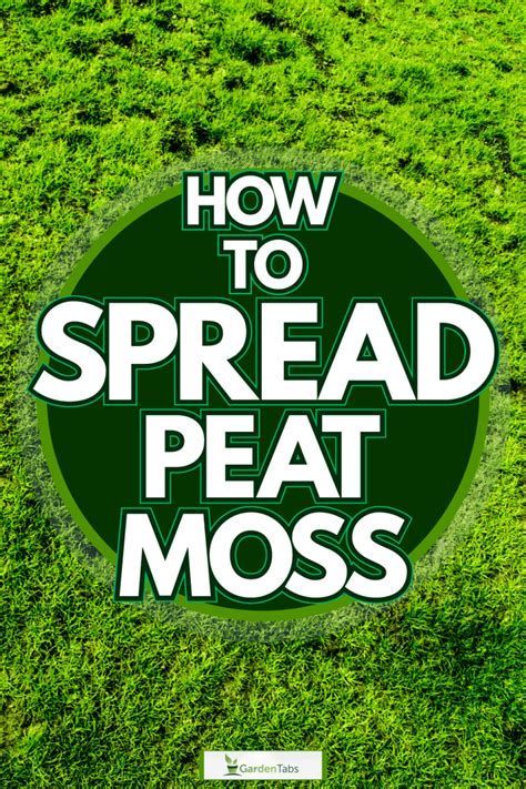 How To Spread Peat Moss