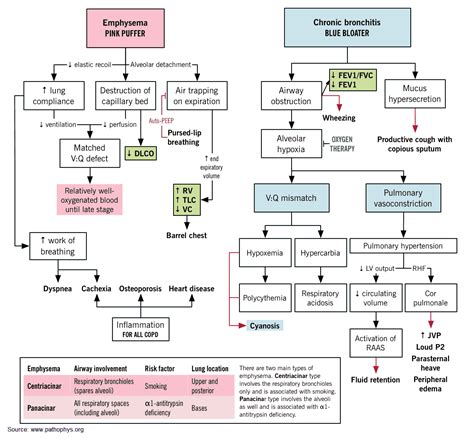 COPD (Emphysema and Chronic Bronchitis): From Diagnosis to Treatment - Manual of Medicine