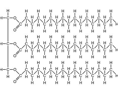 Saturated Fat | Definition, Examples & Characteristics - Lesson | Study.com