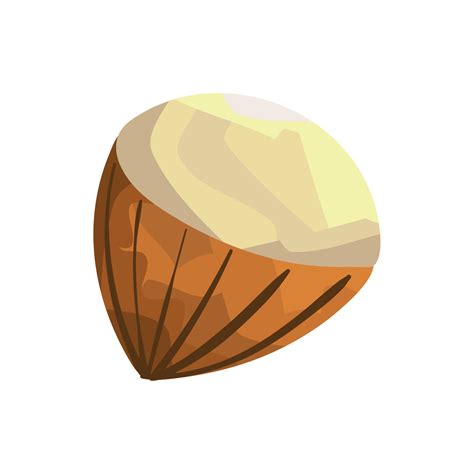 acorn autumn nut 13792059 Vector Art at Vecteezy