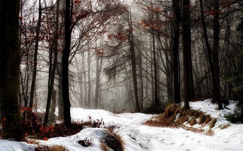 Snowy Autumn Wallpapers - Wallpaper Cave