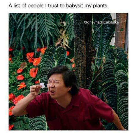 59 Plant Memes You Can’t Accidentally Kill By Casually Neglecting Them