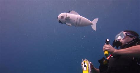 MIT Unleashes a Hypnotic Robot Fish to Help Save the Oceans | WIRED