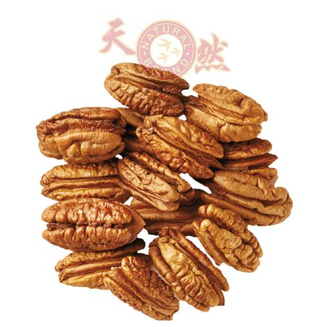 Pecan Nut 500g - Wholesale bird nest harvested from Indonesia, AVA ...