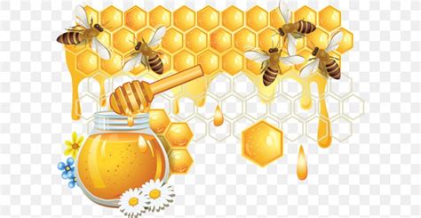 Honey Bee Honeycomb, PNG, 600x425px, Bee, Beehive, Drawing, Food, Fruit Download Free