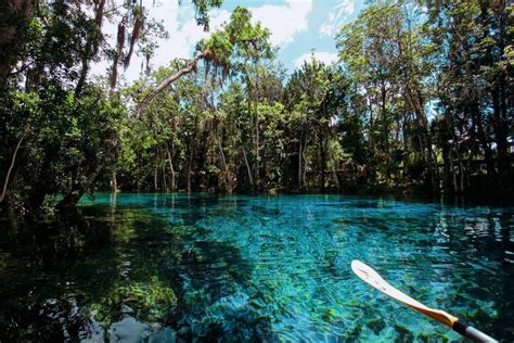 Three Sisters Springs was lookin’ gorgeous : florida