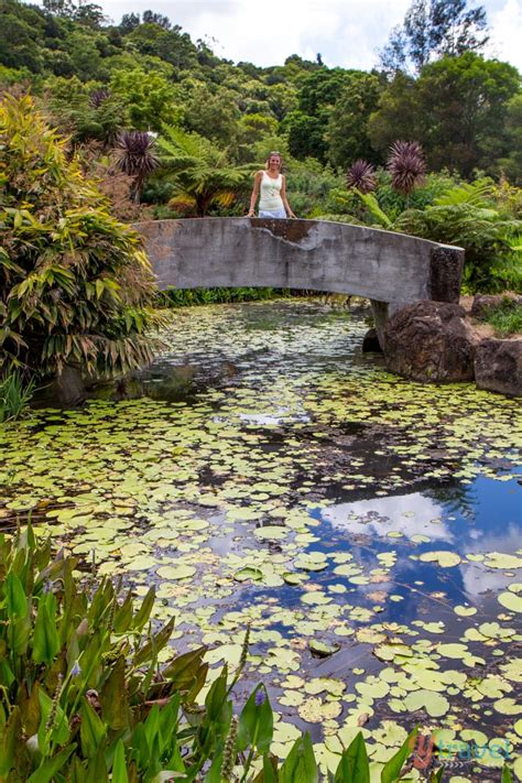 A Romantic Getaway to the Sunshine Coast Hinterland