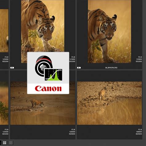 Post Processing Using Canon DPP (For Canon RAW Shooters) - Sudhir ...