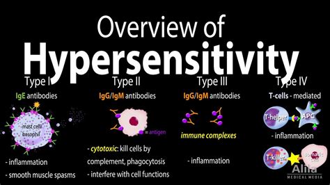 What are the 4 types of allergies? : pandoratopのblog