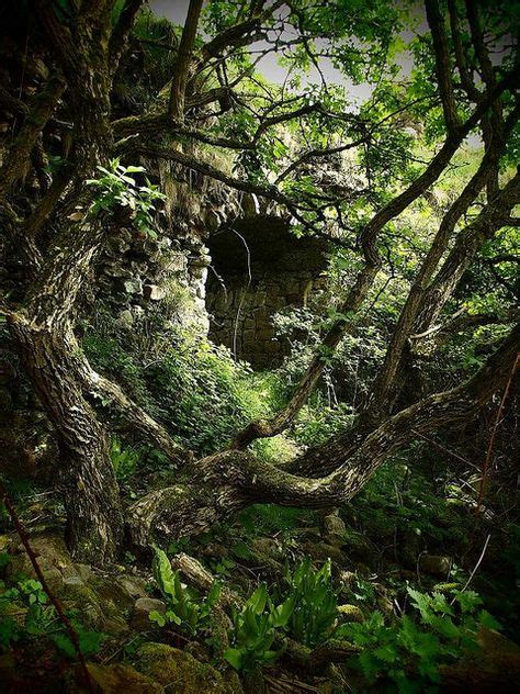 A fun hiding place. Wouldn't it be great? | Secret / Fantasy Hideaways | Hidden spaces, Secret ...