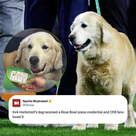 Ben Herbstreit reporting for duty 🐕 https://trib.al/P7gvfsT (via ...