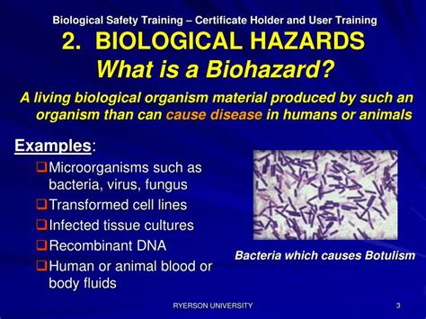 PPT - 2. BIOLOGICAL HAZARDS PowerPoint Presentation - ID:4321989