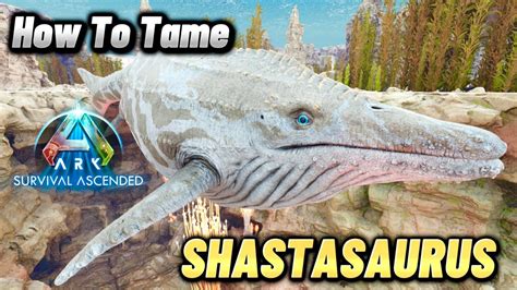 How To Tame The Shastasaurus Whale And Spawn Location, Ark Survival ...