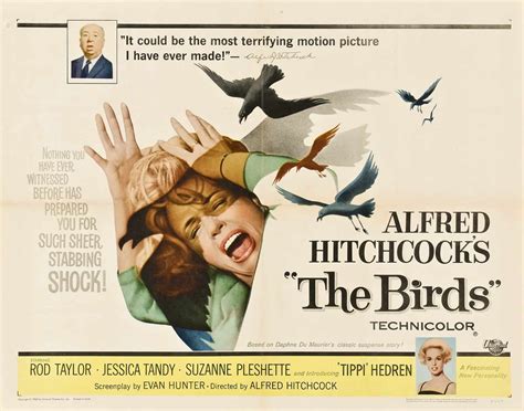 Horror Movie Review: The Birds (1963) - GAMES, BRRRAAAINS & A HEAD ...