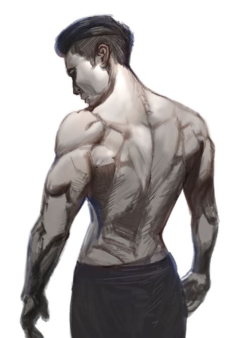 ArtStation - Anatomy Study - Men's Back