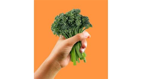 7 surprising facts about one of America's favorite vegetables for National Broccoli Day | Powell ...