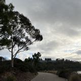 Lake Miramar Trail, California - 3,559 Reviews, Map | AllTrails