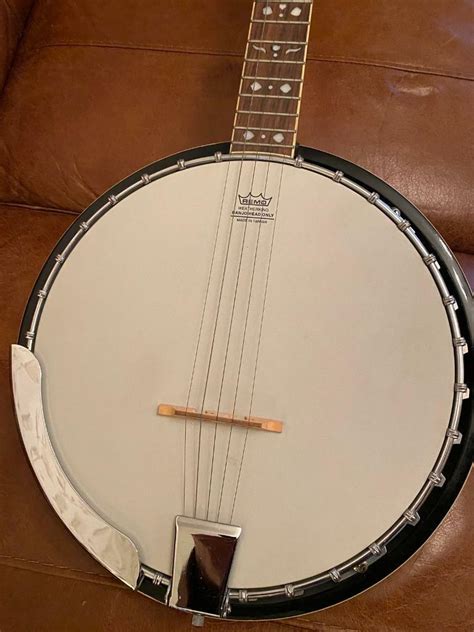 Fender 5 string banjo | in East Ardsley, West Yorkshire | Gumtree