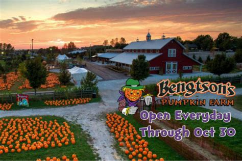 Best Pumpkin Patches in Chicago | 4Kids.com