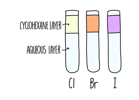 The Halogens* — the science sauce