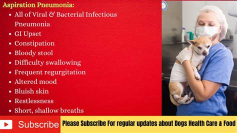 How do dogs get pneumonia? Treatment-Prevention - Serve Dogs