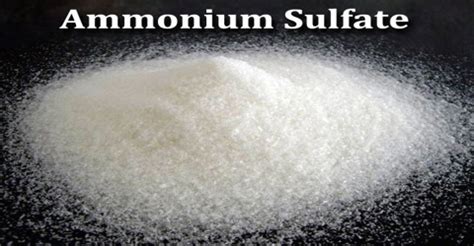 Ammonium Sulfate - Assignment Point