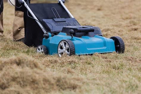 How to Use a Lawn Scarifier to Keep Your Garden Healthy - Homes Whiz