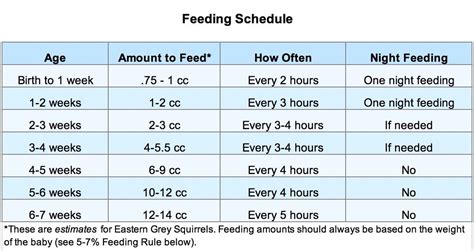 Baby Squirrel Feeding Chart