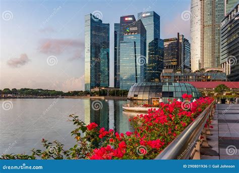 Marina Bay and Gardens at Night SunriseViews Around Singapore , Asia ...