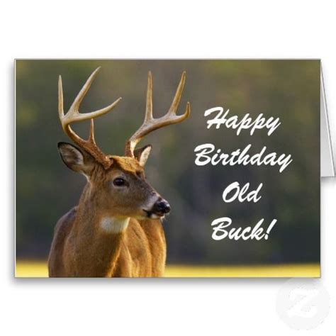 Hunting Funny Buck Animal Camo Happy Birthday 3 Card | Zazzle.com | Hunting birthday, Surprise ...