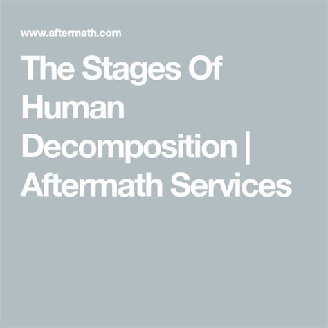 Stages Of Human Decomposition Worksheet