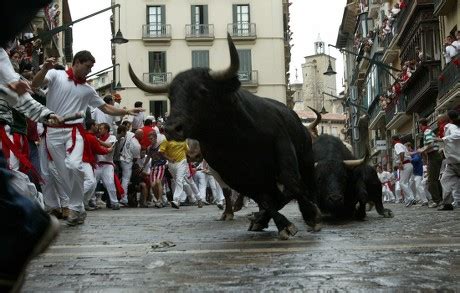 Pack Fighting Bulls Alcurrucen Ranch Stampede Editorial Stock Photo - Stock Image | Shutterstock