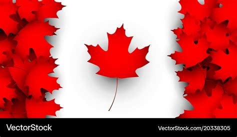 Flag of canada design concept Royalty Free Vector Image