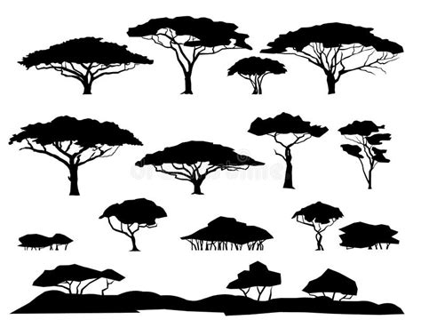 Set of Plants. African Savannah Landscape. Silhouette Picture. Africa Acacia Tree. Isolated on ...